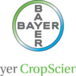 Bayer CropScience Logo (PRNewsFoto/Bayer CropScience)